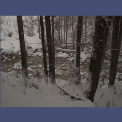 2013-02-02_Rappinschlucht_Lainlalm (021).jpg